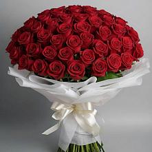 Букет 101 Красная роза Блэк Мэджик #REPLACE_PRED# Саянске