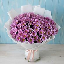 Букет цветов из:  Хризантемы в Саянске