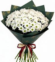 Букет цветов из:  Хризантемы в Саянске