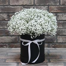 Цветочная композиция из Гипсофила в шляпной коробке в Саянске
