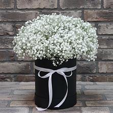 Цветочная композиция из Гипсофила в шляпной коробке в Саянске