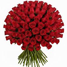 Букет Красные розы Чери Лав #REPLACE_PRED# Саянске