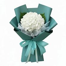 Букет цветов из:  Гортензия в Саянске